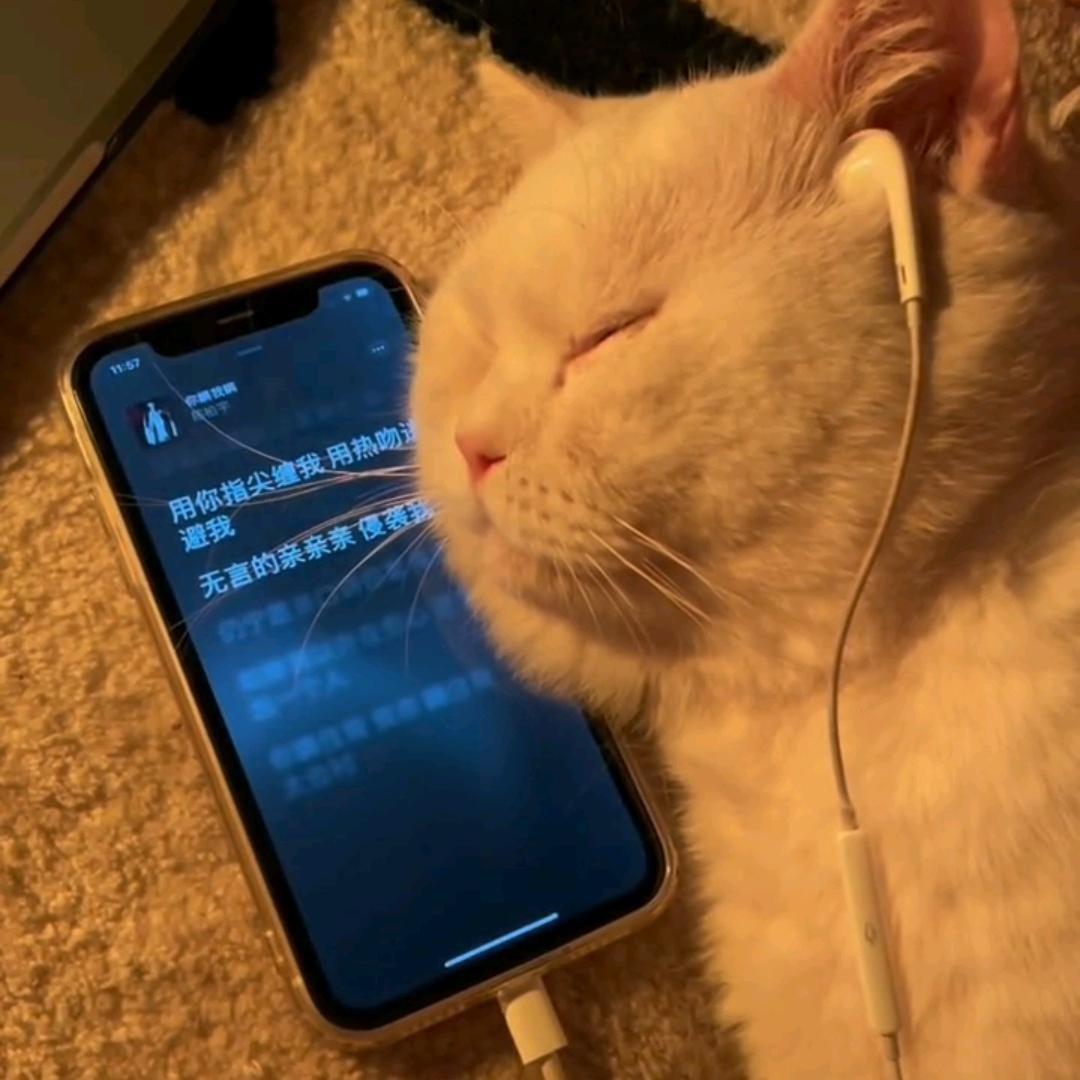 今夕何夕___