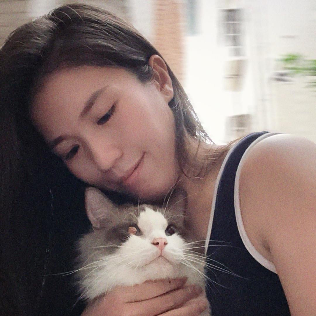 我的灰灰🐺羊羊🐑是只🐷