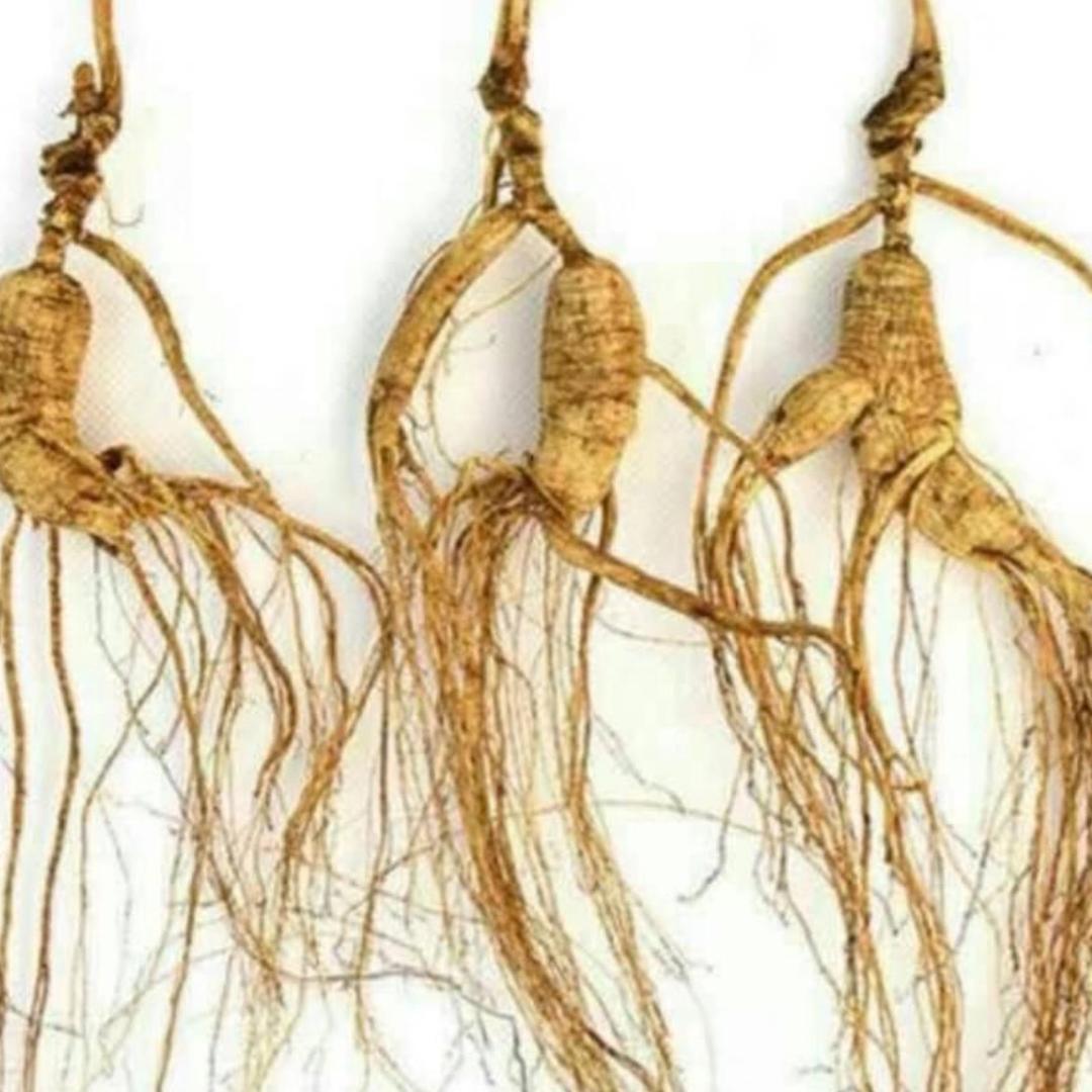 航帆御品堂日常分享