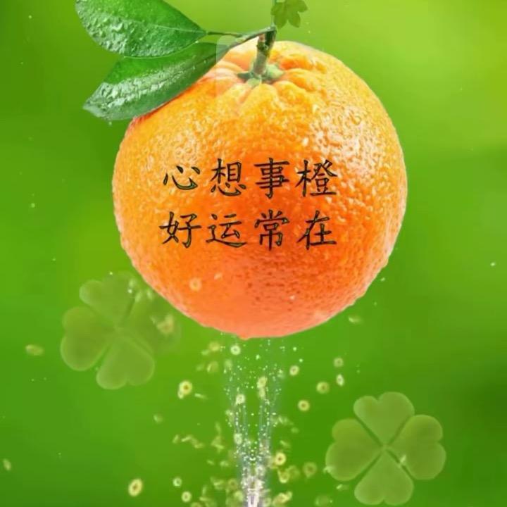 豆豆农夫菜园