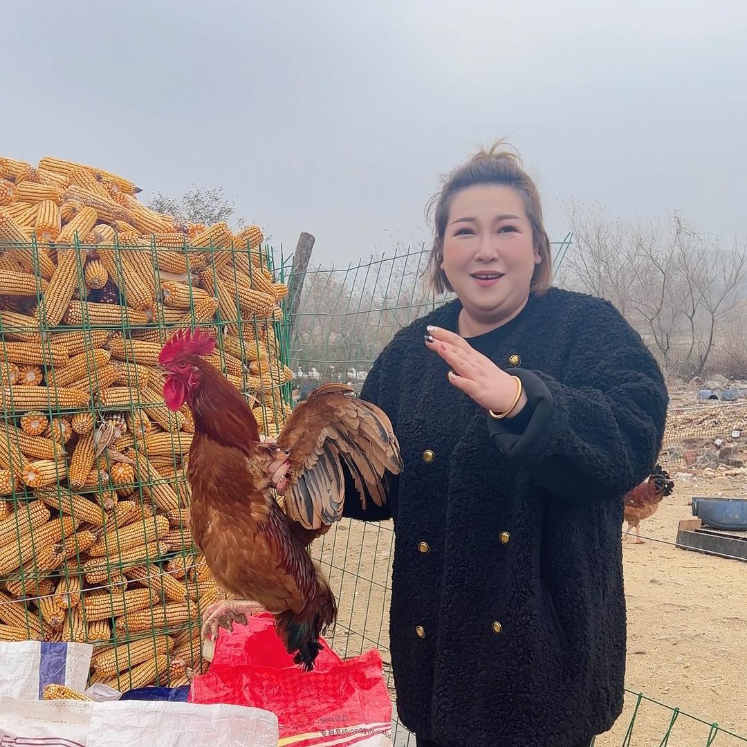 东北土鸡胖丫蛋