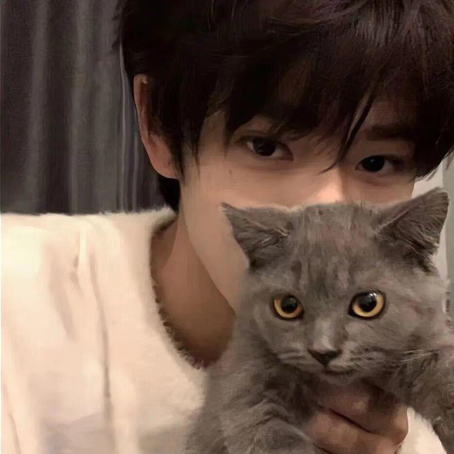良人与猫