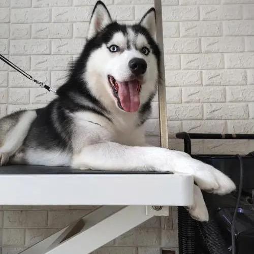 诗太克时尚优品小铺