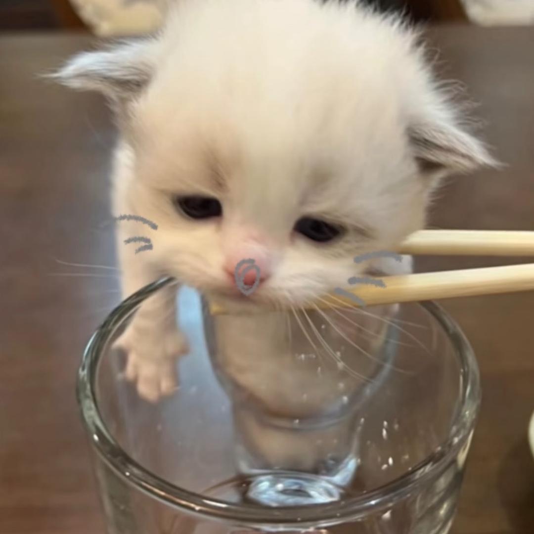 饿了会吃饭