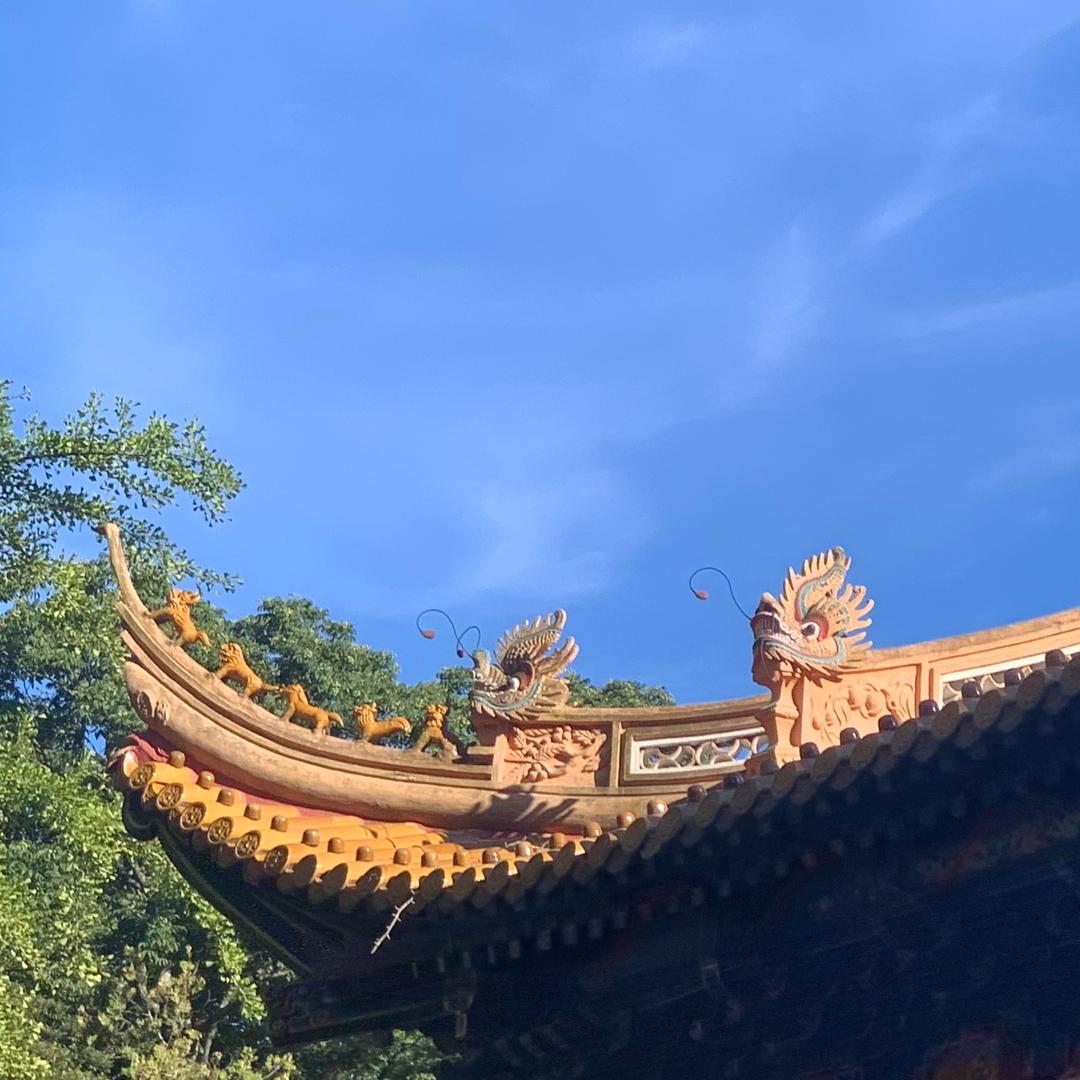 天使爱美丽