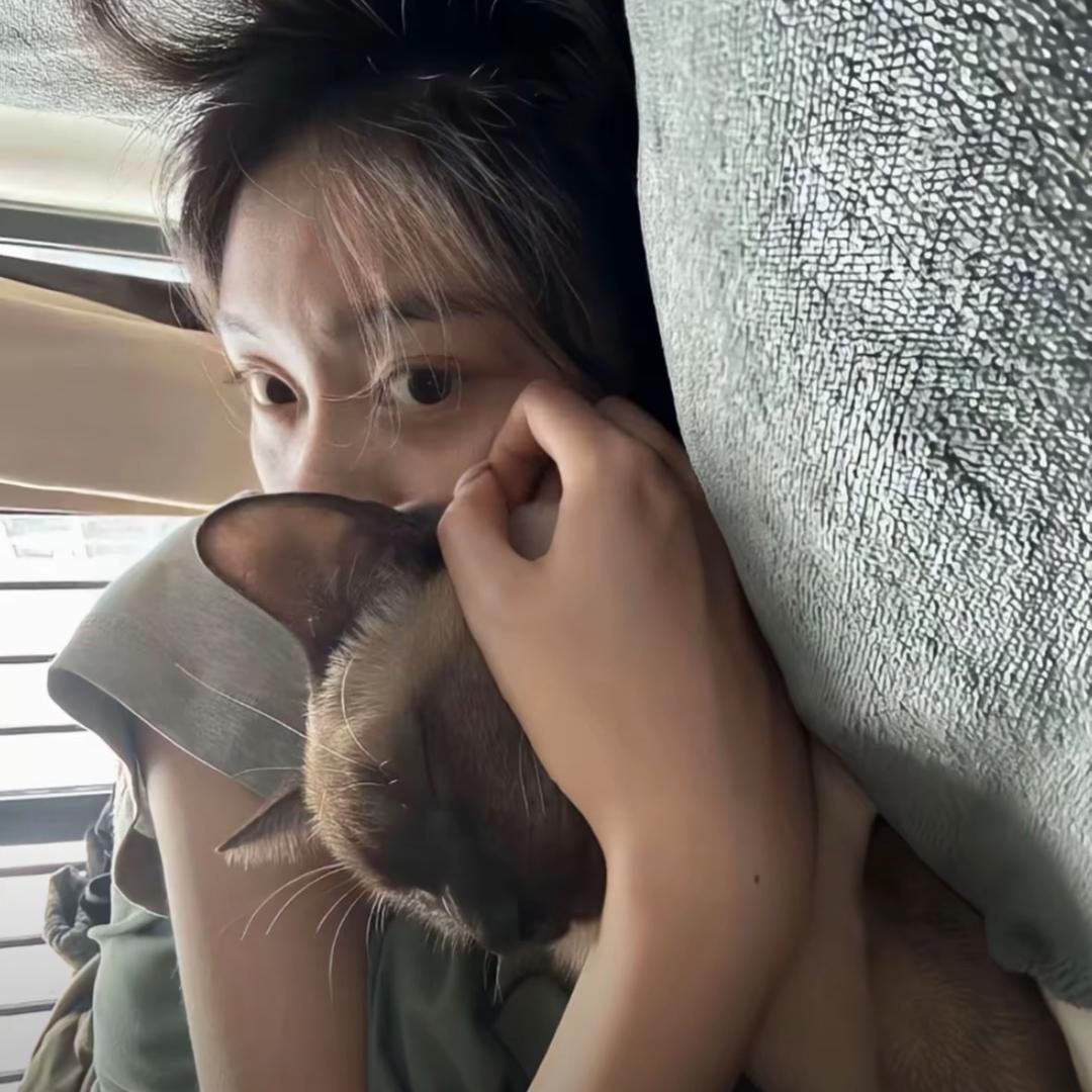 小熊早睡o头像