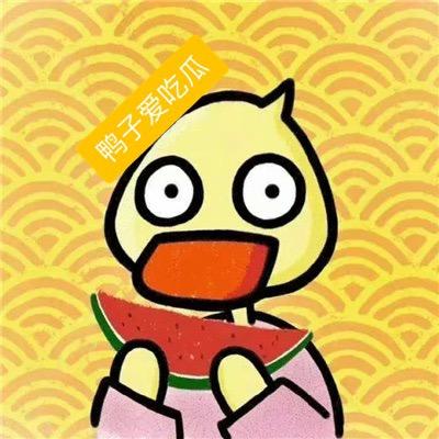 鸭子爱吃瓜