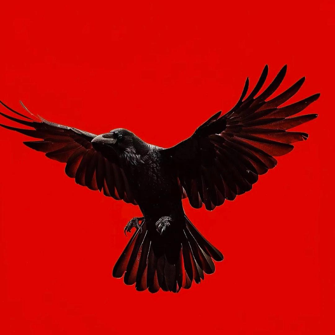 摸张幺鸡起来报听