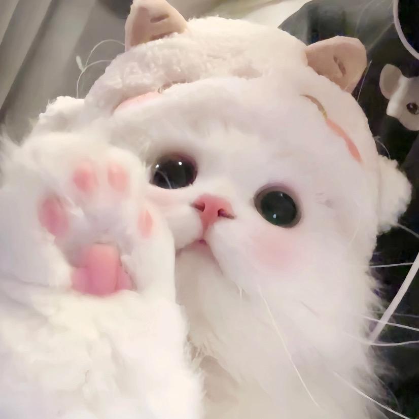 雪儿～