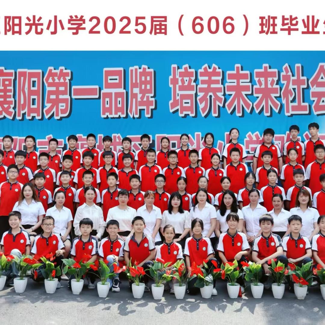 襄阳阳光小学姜老师