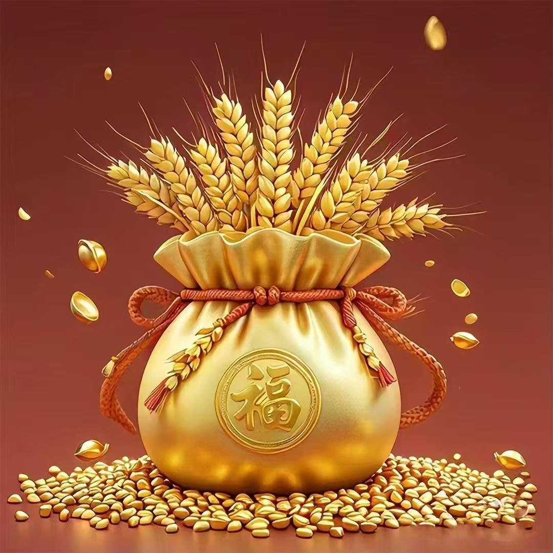 金枝玉叶🇨🇳