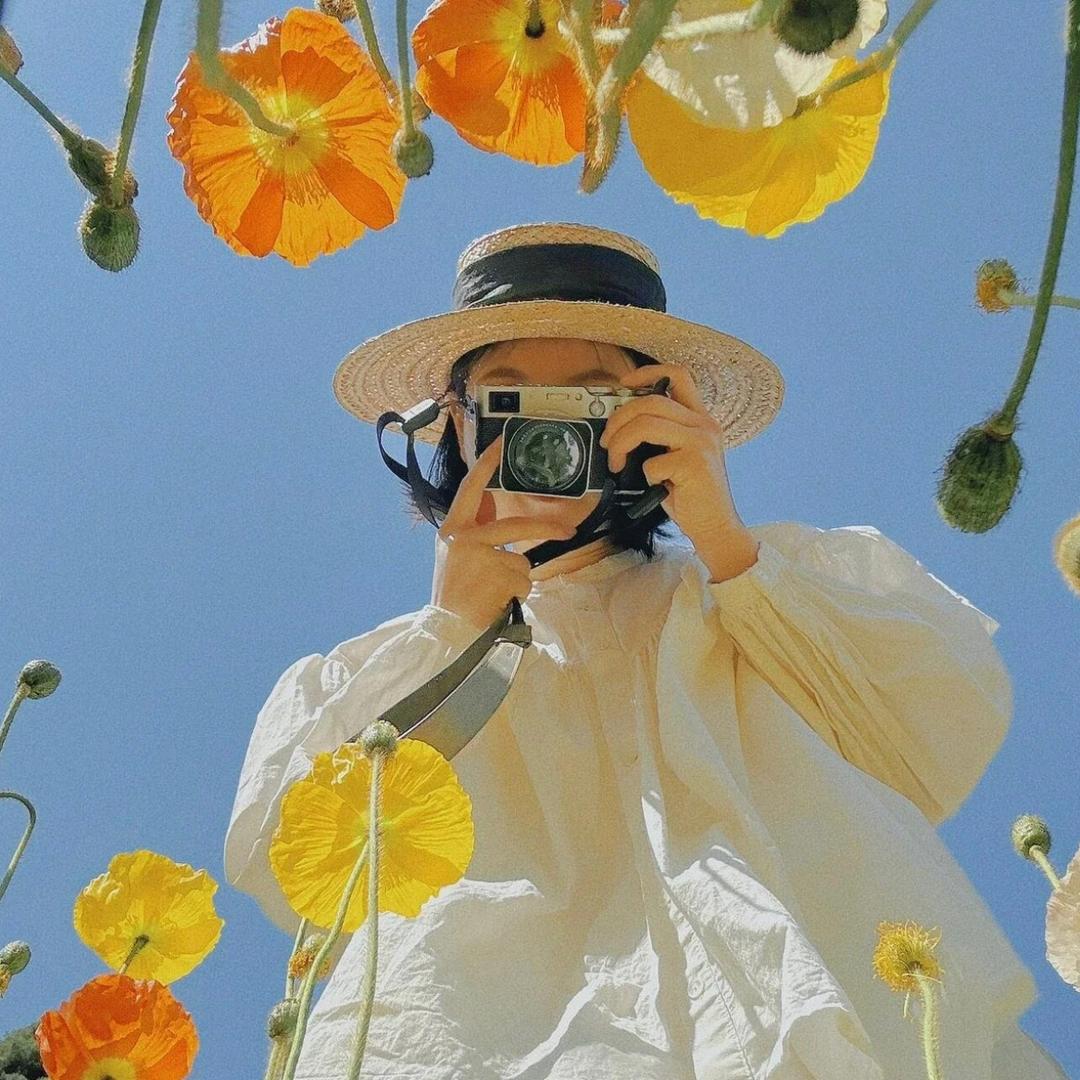 晴空 🌻