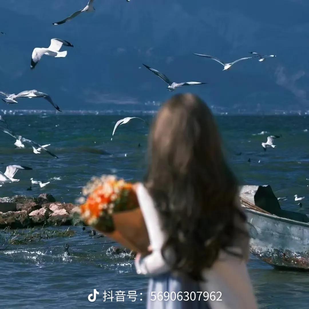 张玉波推荐建材好货店