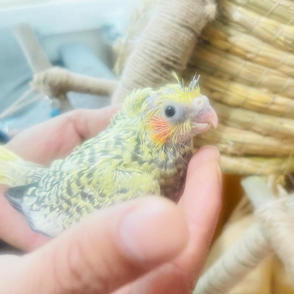 英💃💃