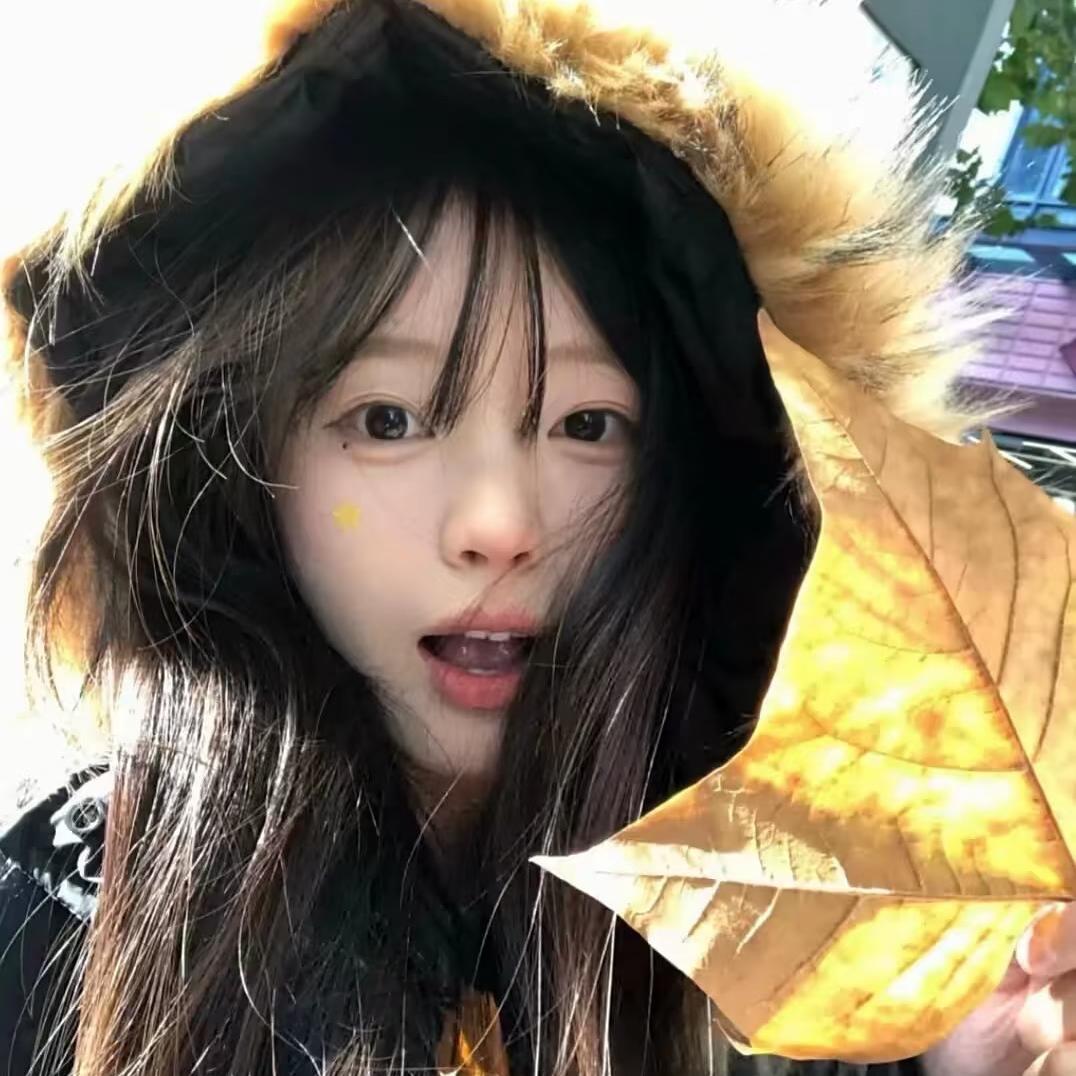 毅毅的优选铺子