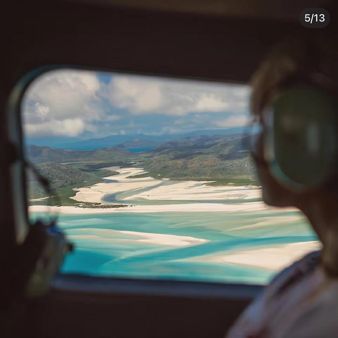 今天你吃鱼了吗🐟