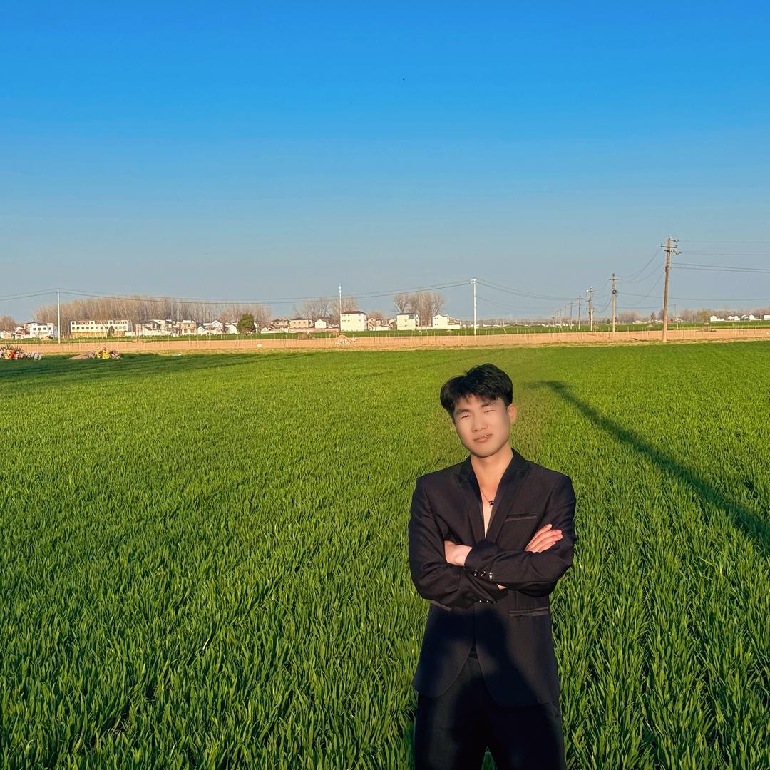 王小蛋《王老五团队》