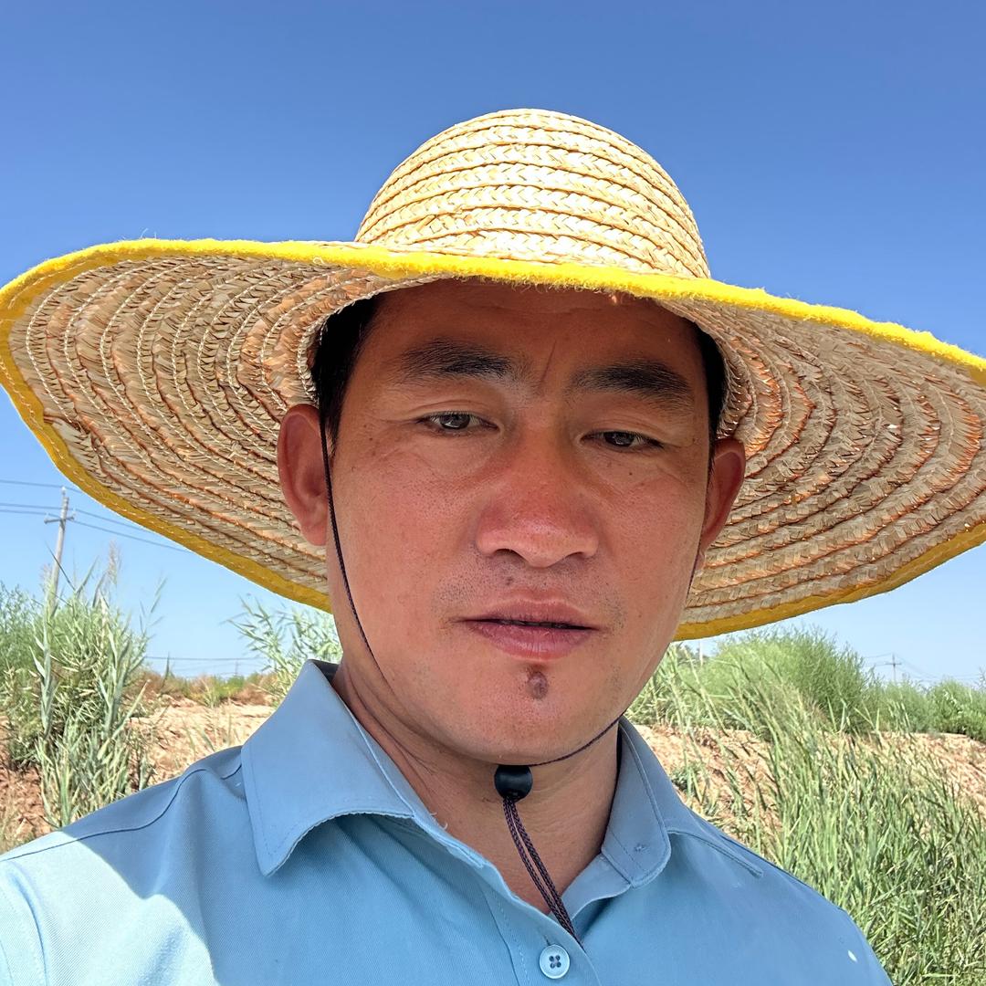 宁波小陈西瓜甘蔗批发