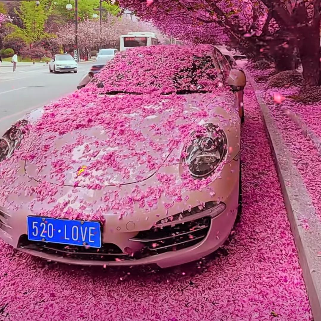 ༗陈ཻ心如意࿐