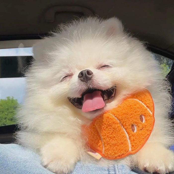 王图图（不三不四❌）