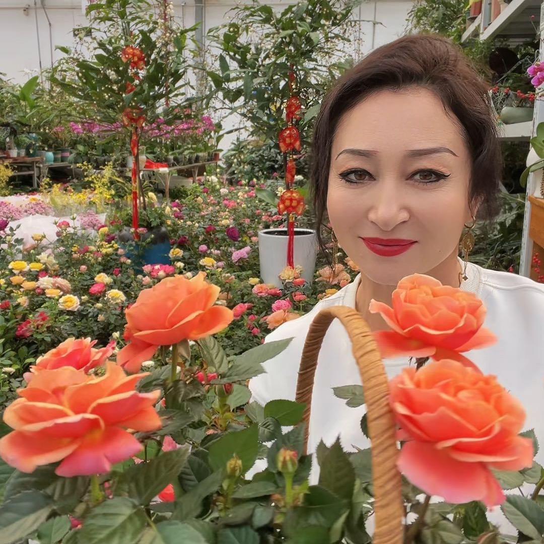 新疆买合布白木花城商贸有限公司