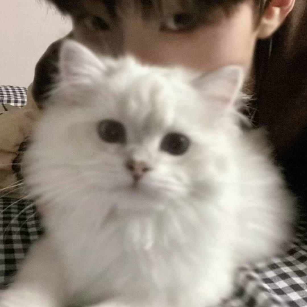 艺仔（游戏版）