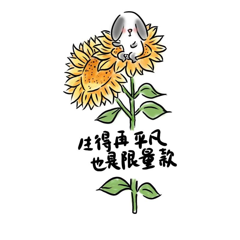 太阳花🌻