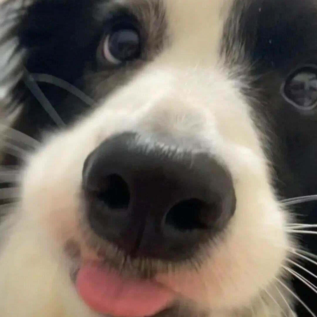 ㅤㅤ爆炒腋毛