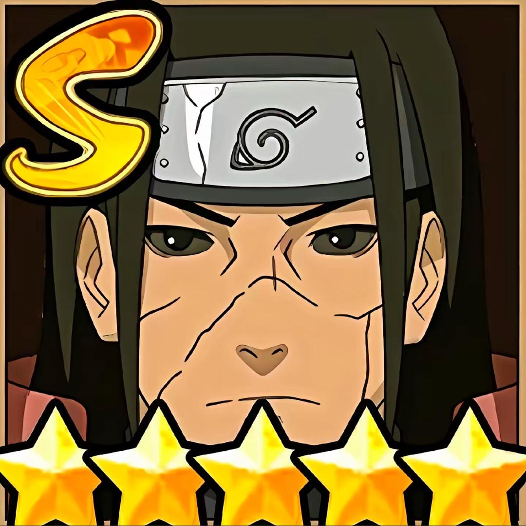 折耳猫喜欢向日葵