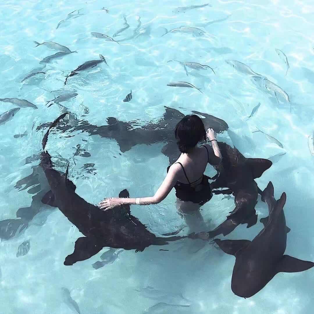 钱辈