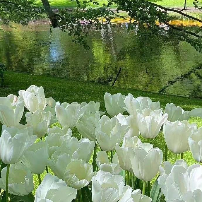 耍游戏的大锅们