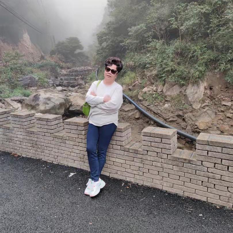 小小凤