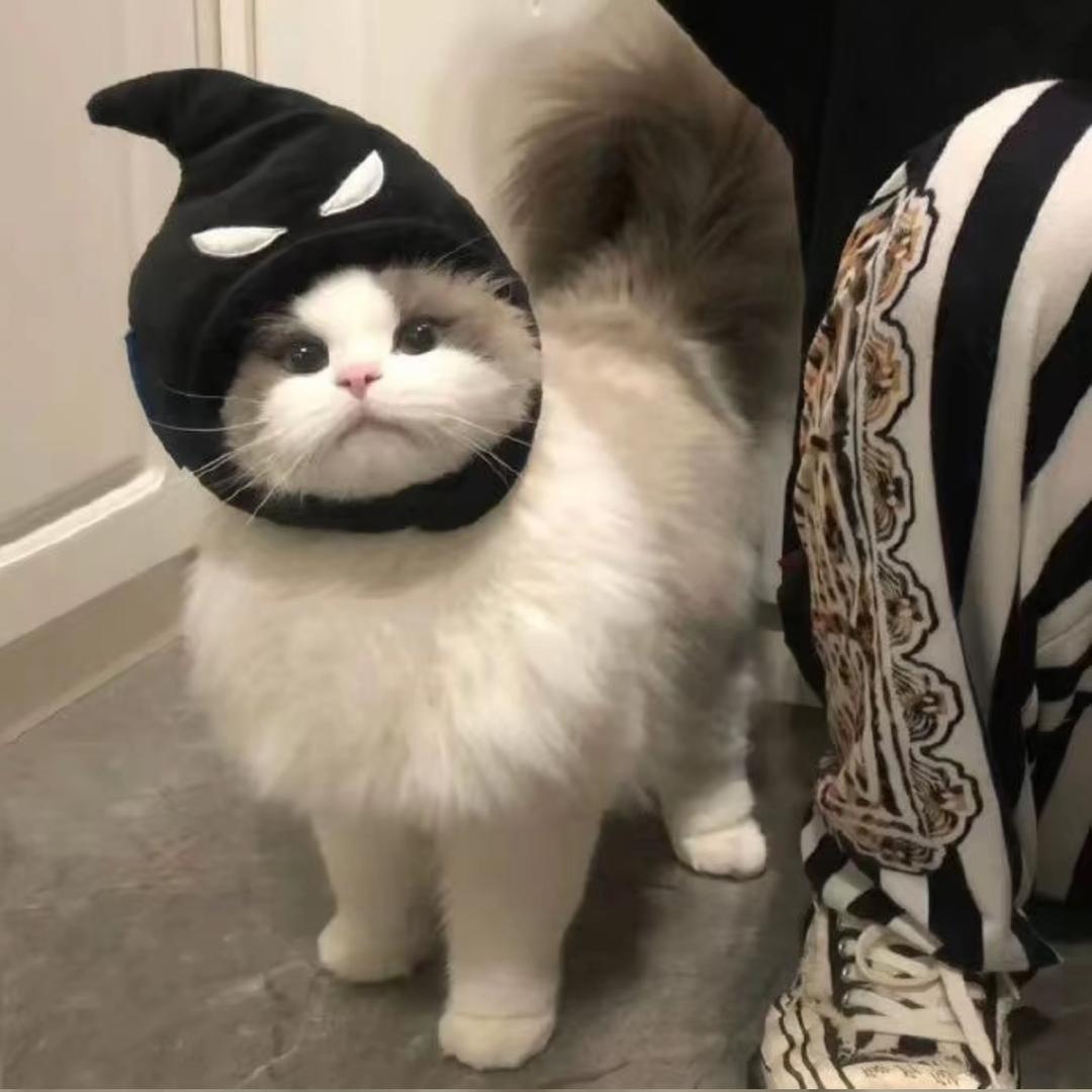 周周子