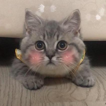 我是大柱🌞