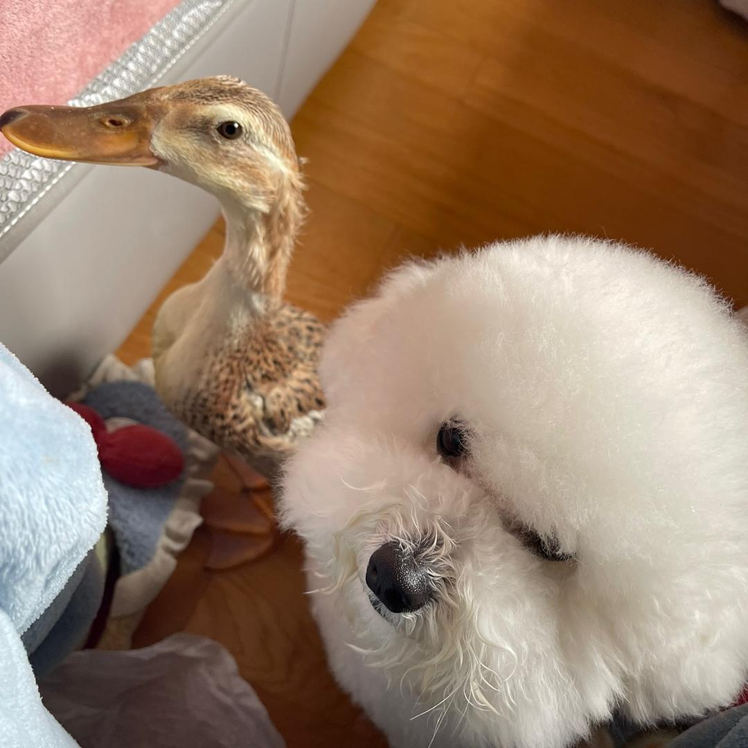 奇奇怪怪的朋友