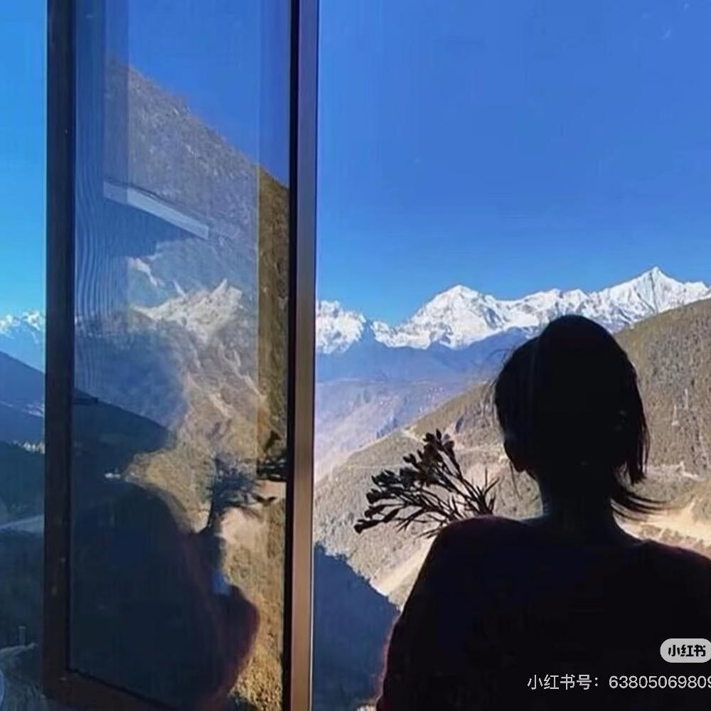 一只小锦鲤
