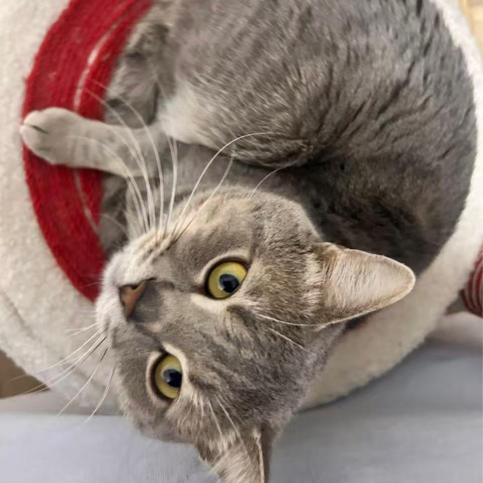 一一今天回家了吗