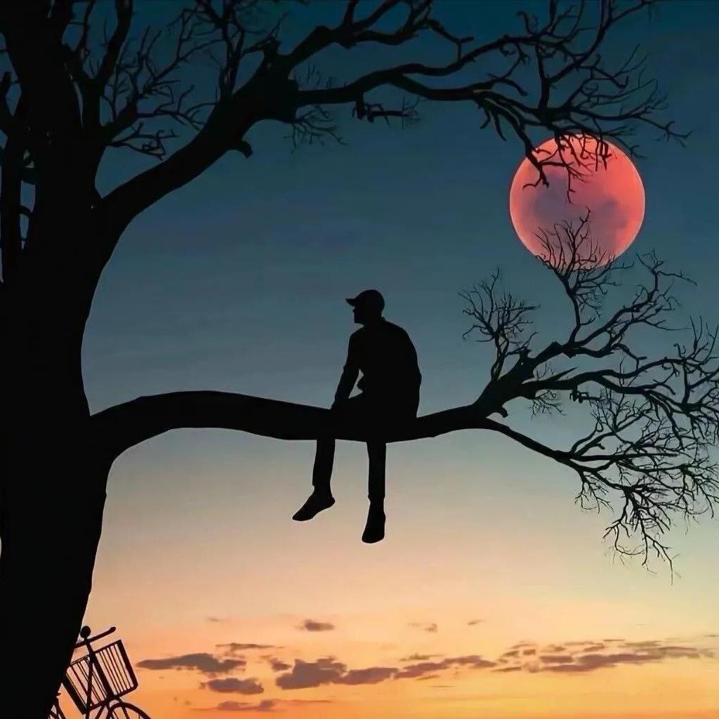 🦋ꦿ໊余生᭄随心᭄ꦿᩚ٭