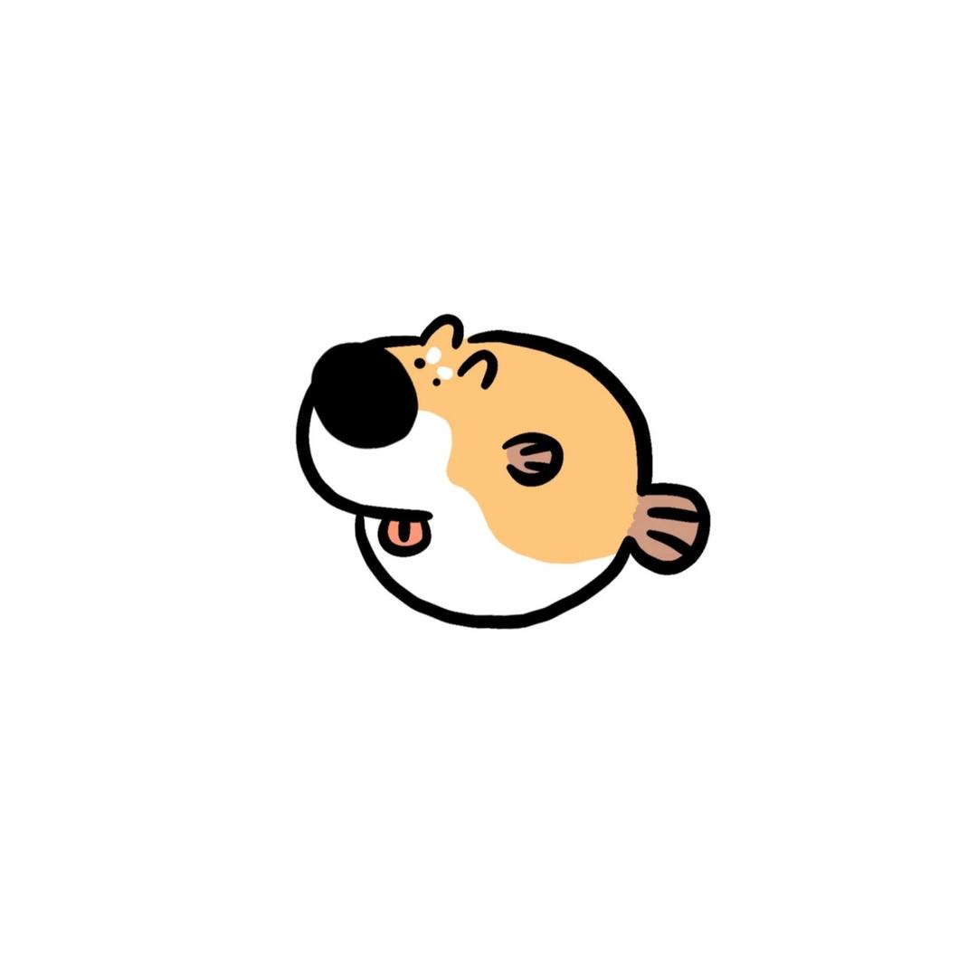 狗窝鱼