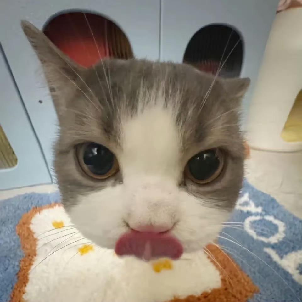 烫手小馍馍