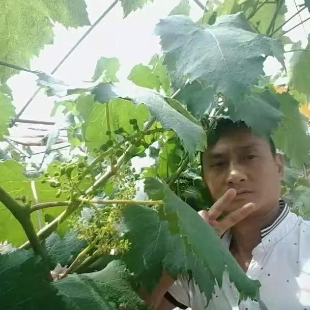 骆三少景观石批发