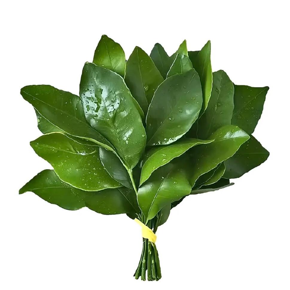 吃芋泥而不懒🍧