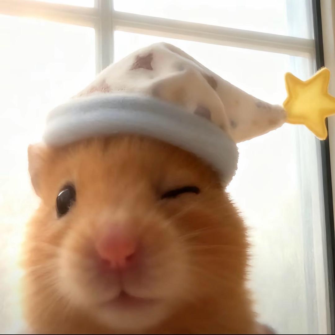 ꒦ິ^꒦ິ