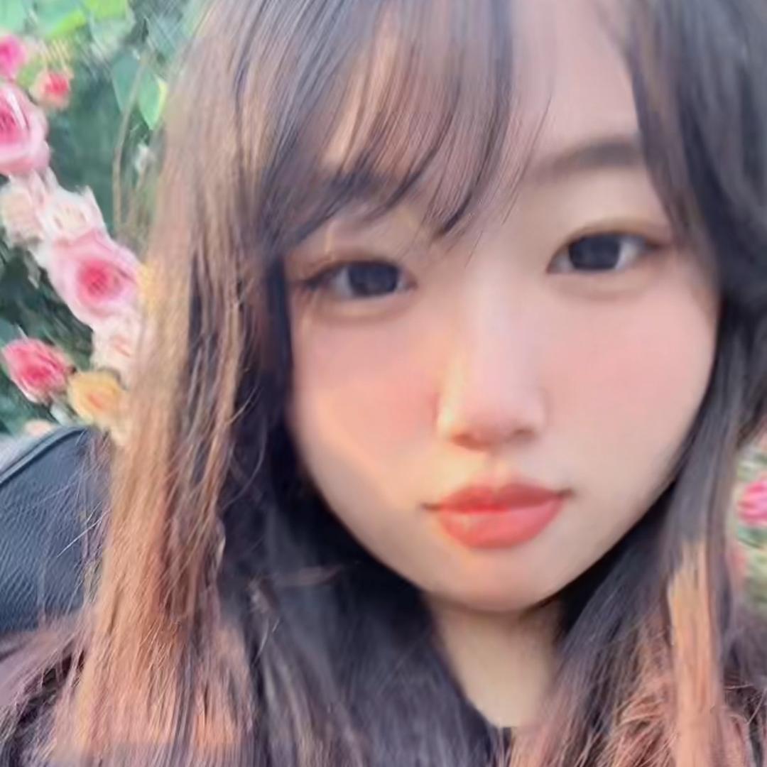 仙鹤不会飞🪈