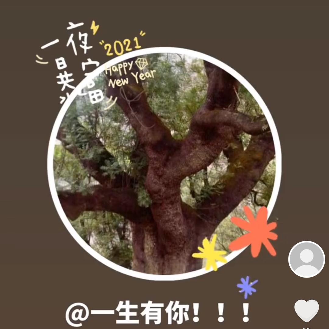 一生有你