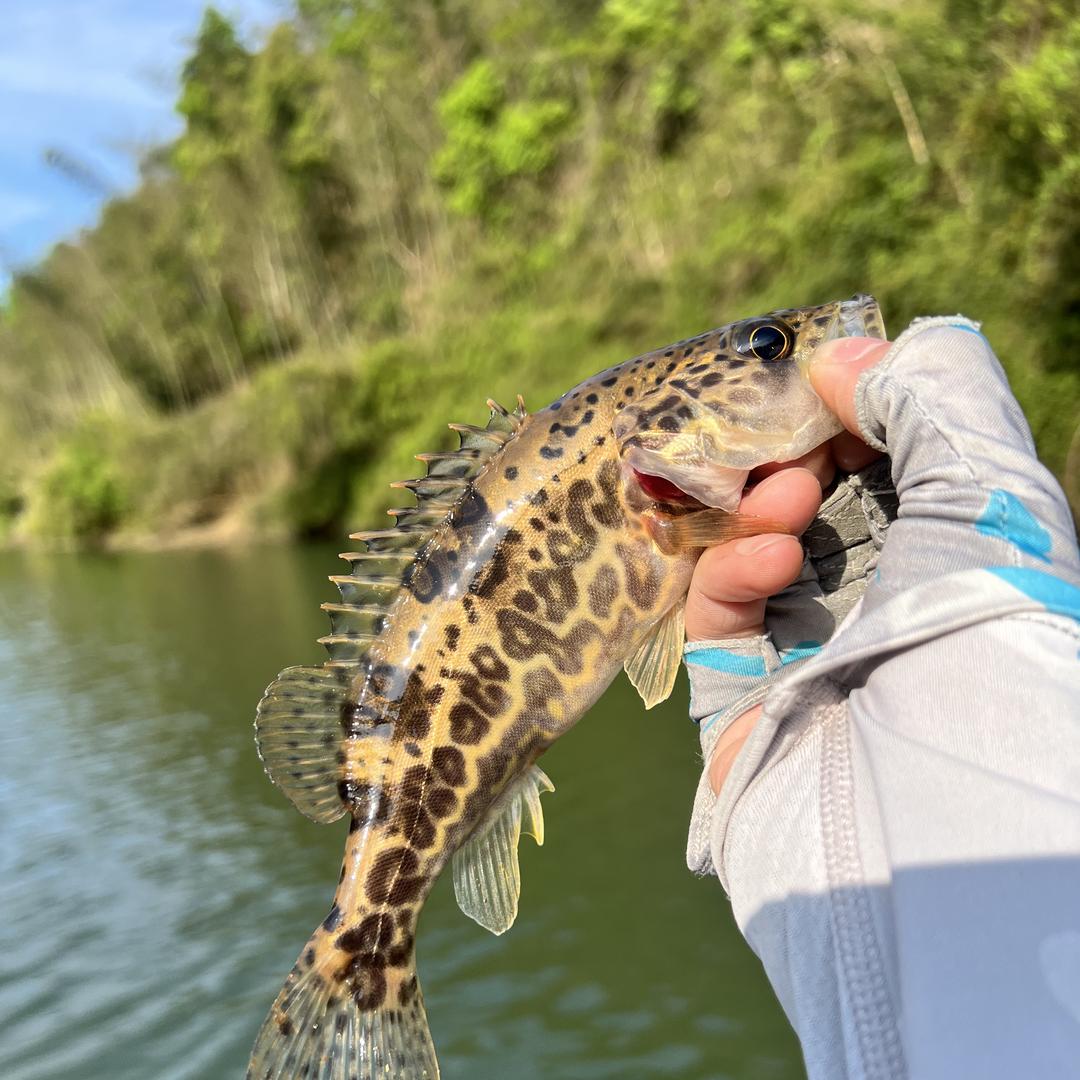 六渔钓箱户外原创