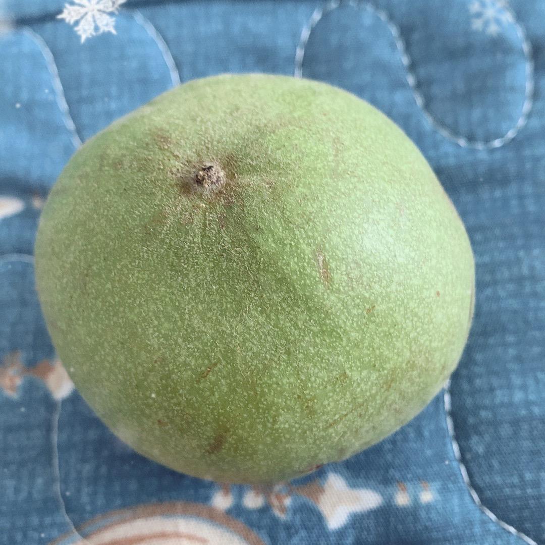 聚宝源核桃