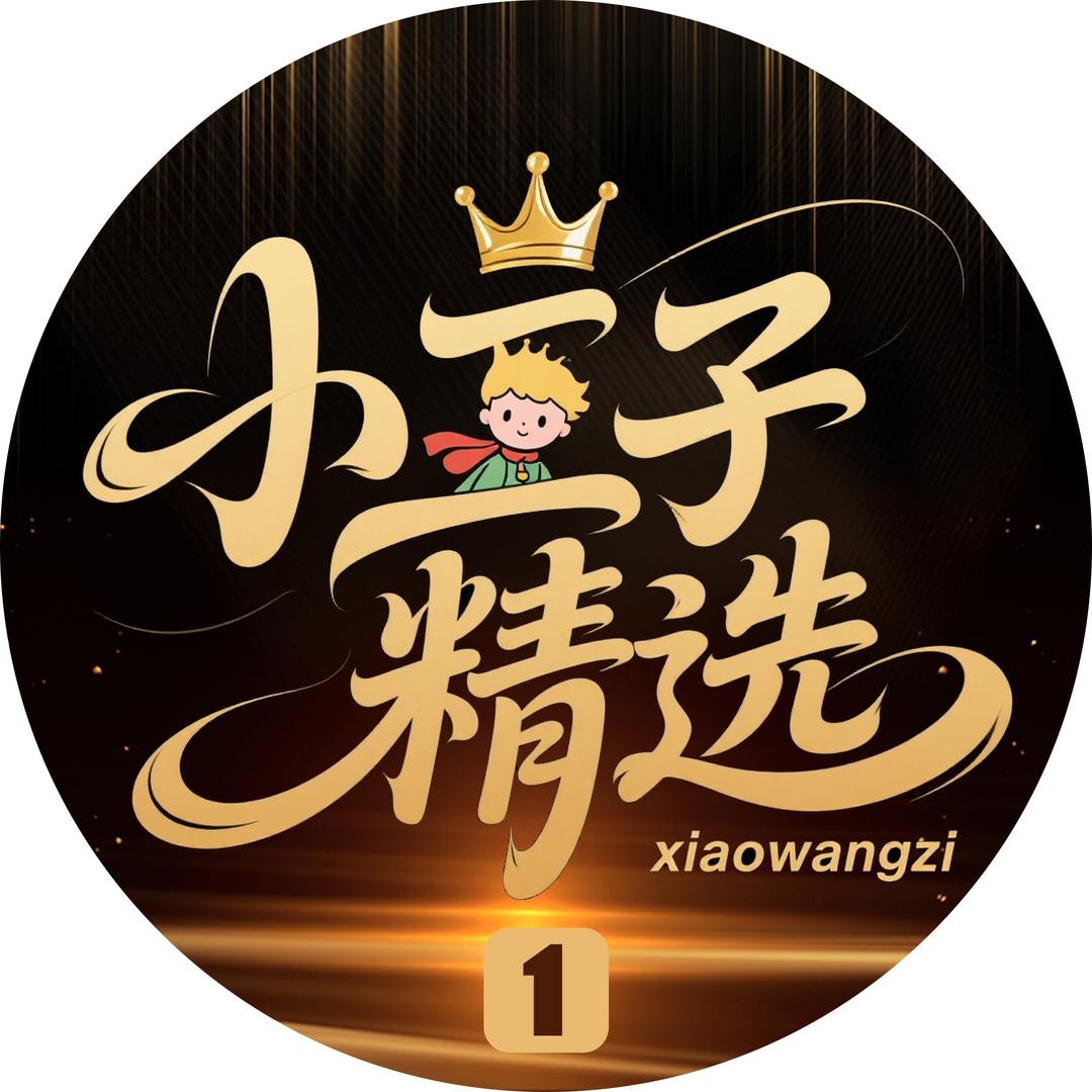 小王子精选1️⃣