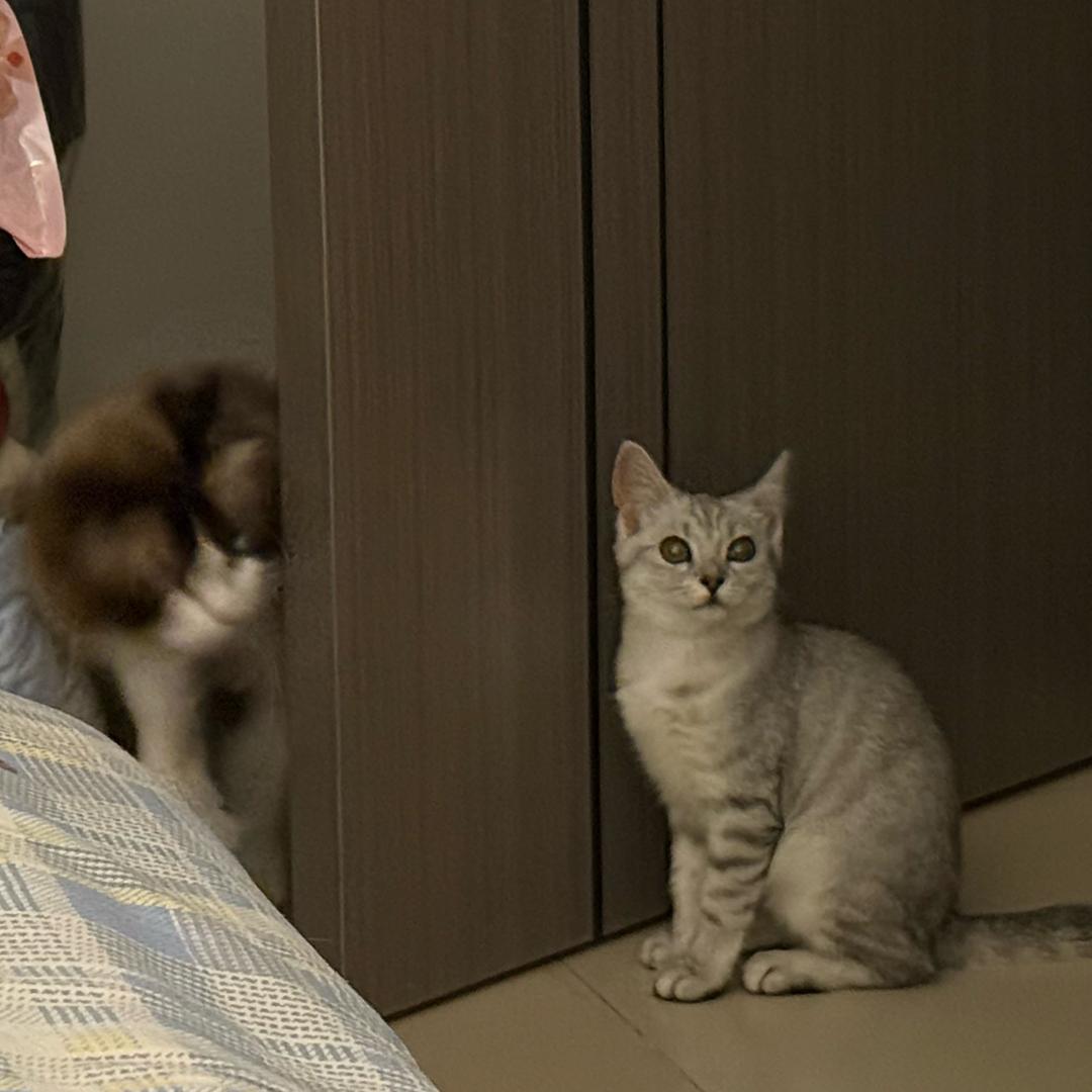 朋友你脑子有泡