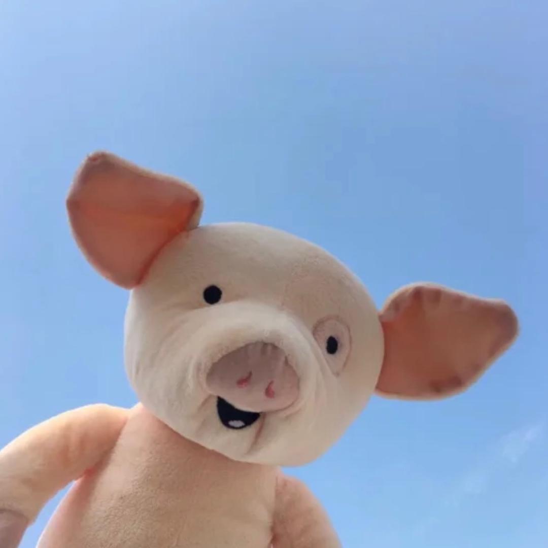 一只橘子叶子